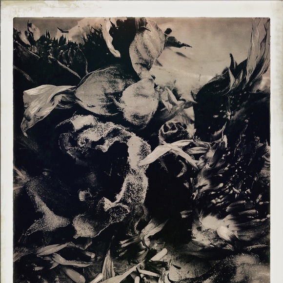 Favrag - Picture 2 of 3